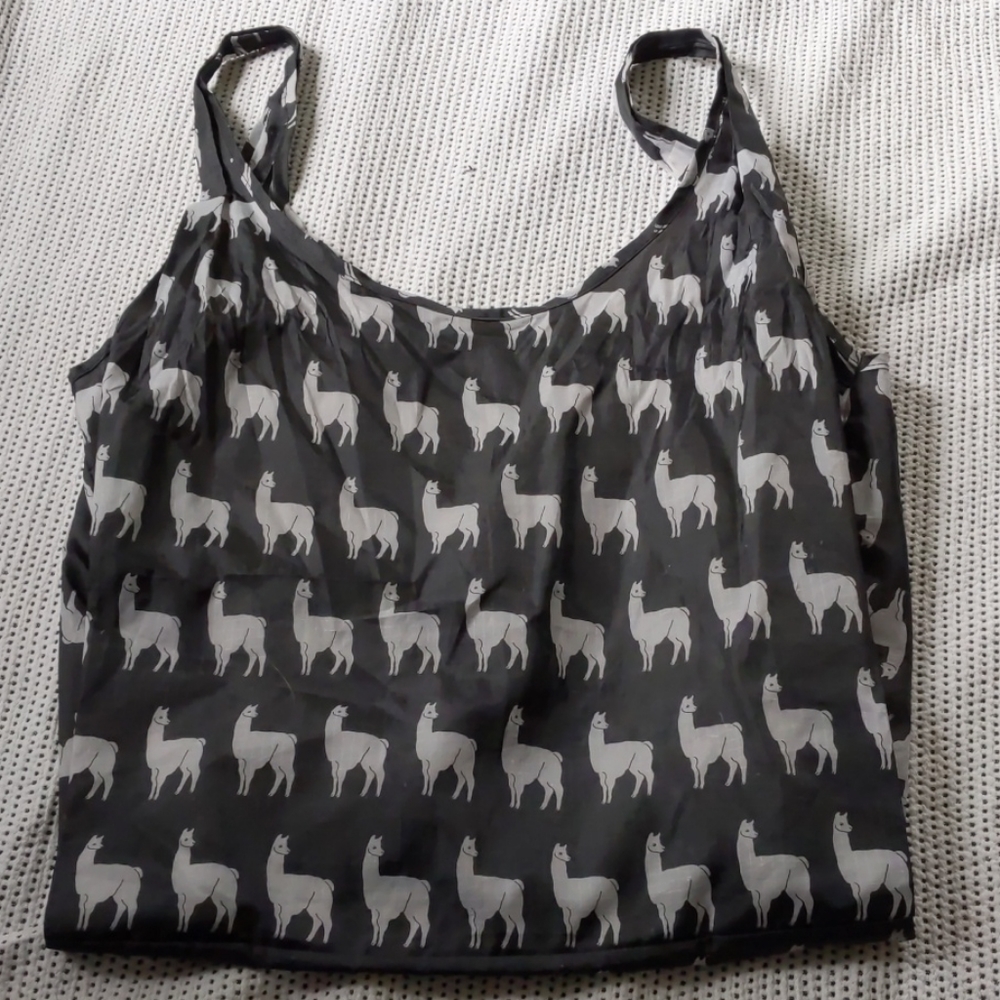 Baggu standard size reusable bag tote